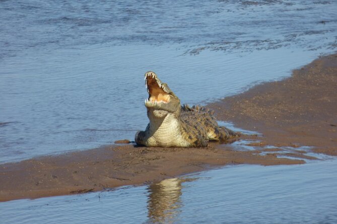 Guided Falls Tour & Zambezi River Cruise Combo - What the guide adds to the day
