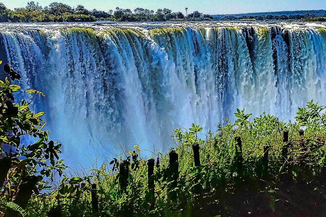 Guided Tour of the Falls (ZIM side) Wildlife Safari, by Savannah - The bush walk before the park entrance