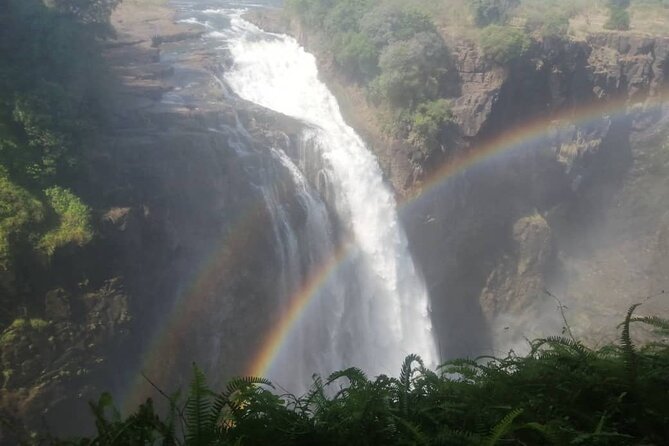 Guided Tour of the Falls (Zimbabwe side) - Walking through the rainforest