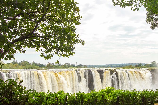 Guided Tour of the Falls (Zimbabwe side) - Boiling Point and the force below