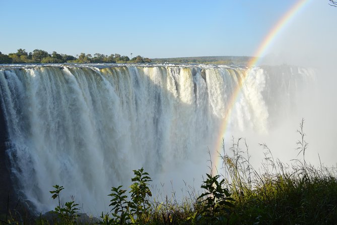 Guided Tour of the Majestic Victoria Falls - Entering the Victoria Falls rainforest