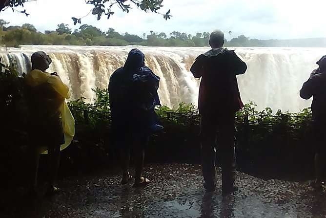 Guided Tour Of the Victoria Falls Zimbabwe - Through Victoria Falls National Park