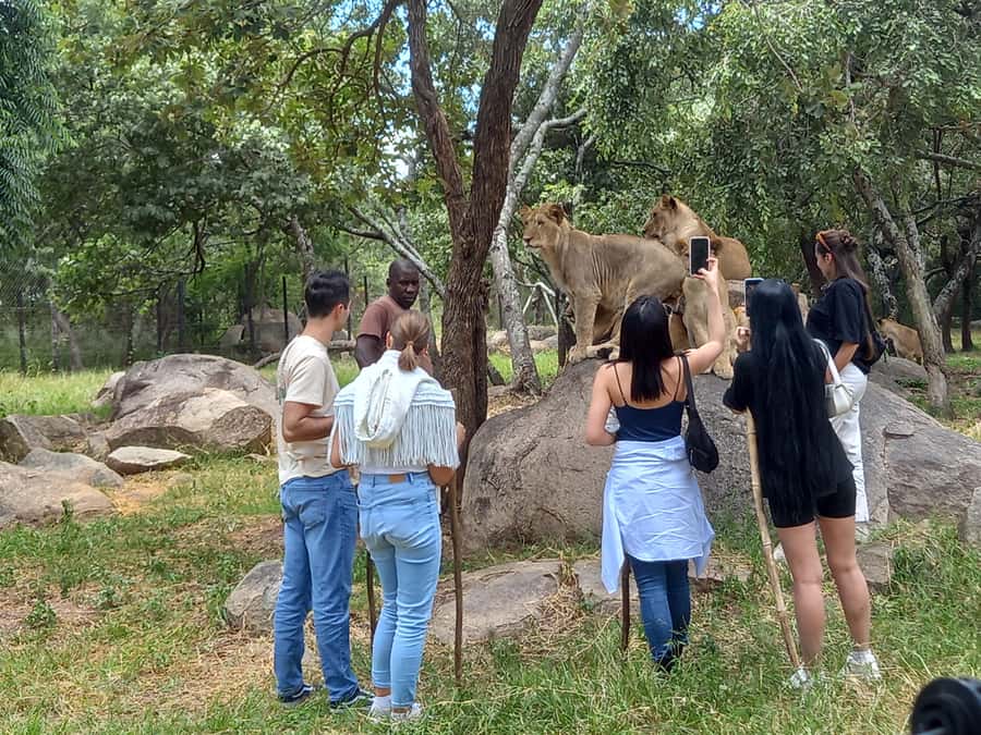 Harare: Half Day Outdoor Adventure - Harare in one drive: a useful first look at the capital