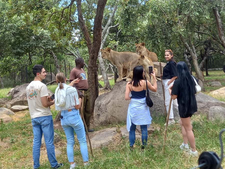 Harare: Half Day Outdoor Adventure - What the $115 price covers