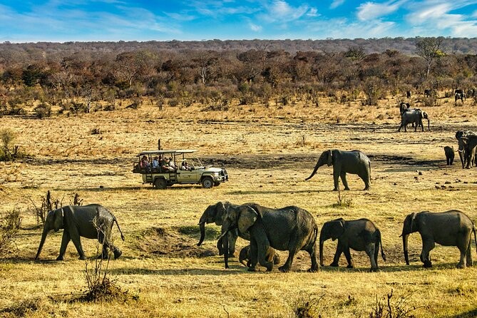 High Tea in the Savannah, Catering by Victoria Falls Hotel - Group size, comfort, and practical limits