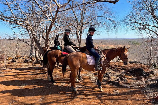 Horse Riding Community Village Tour Experience - Leaving Victoria Falls for Chisuma at 6:00 am