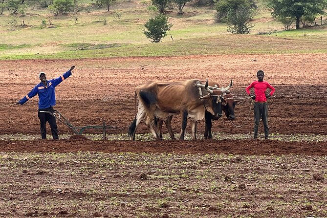 Horse Riding Community Village Tour Experience - Following the Batoka Gorge on horseback
