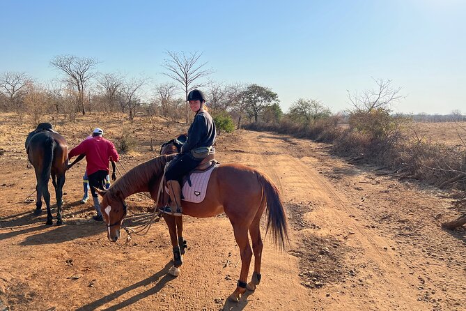 Horse Riding Community Village Tour Experience - Who will enjoy this ride most