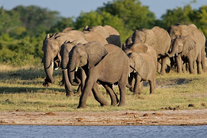 Hwange 3 day Safari - Key things to know before booking