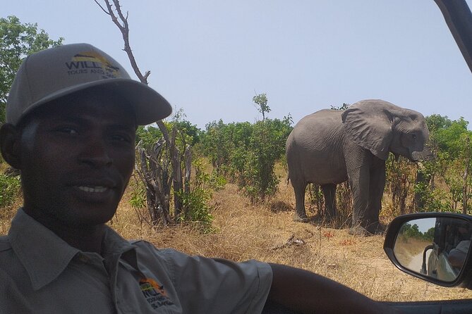 Hwange National Park Full Day Trip - Lunch in the park from noon to 1 p.m.