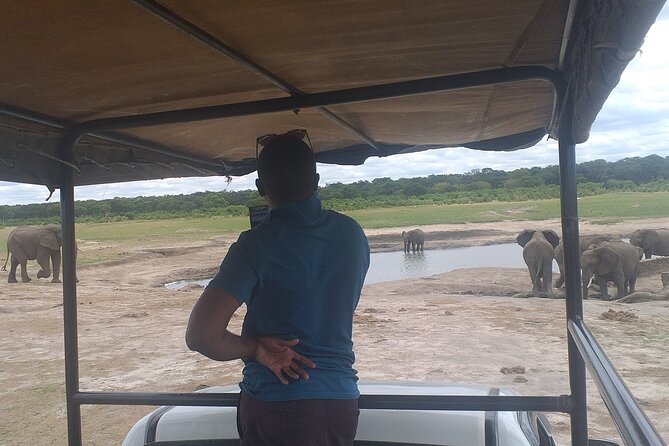 Hwange National Park Full Day Trip - Afternoon wildlife viewing at the water holes