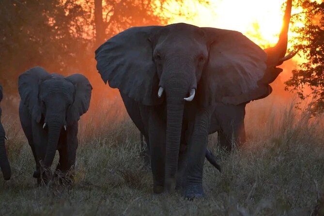 Hwange National Park Full Day Trip - Is $365 per person fair value?