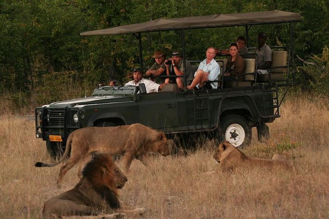 Hwange (Safari) Day Trip from Victoria Falls - The 6:00am departure from Victoria Falls