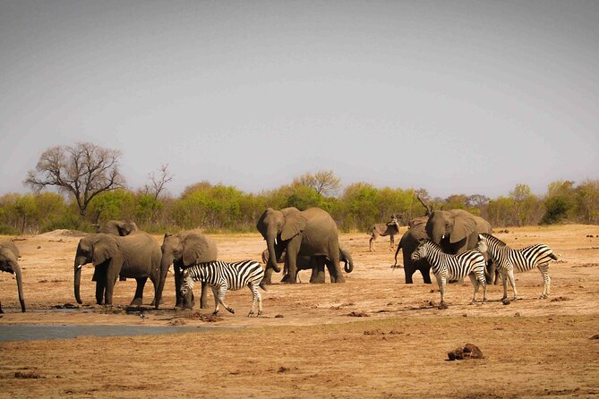 Hwange (Safari) Day Trip from Victoria Falls - Lunch near Hwange Main Camp