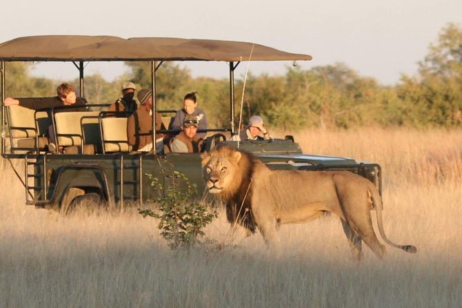 Hwange (Safari) Day Trip from Victoria Falls - Entering Hwange National Park for the morning drive