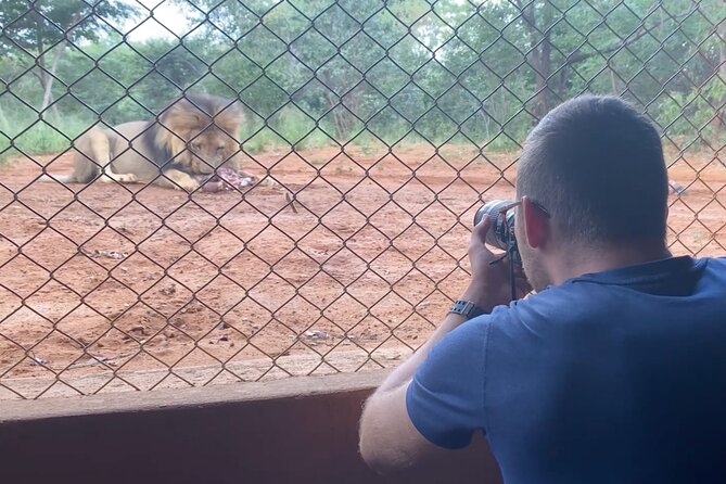 Lion & Wildlife Sanctuary Excursion Victoria Falls - A conservation visit, not a wild safari