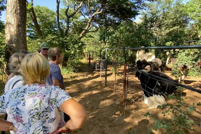 Lion & Wildlife Sanctuary Excursion Victoria Falls - How the three-hour schedule works