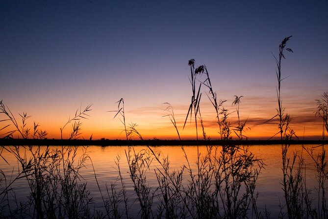 Luxury Sunset River Cruise on the Zambezi - Practical Details That Matter