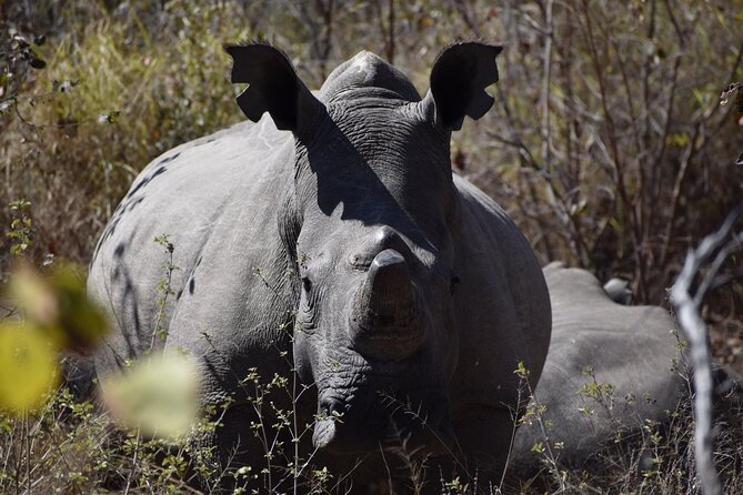 Matobo Rhino Encounter - What to wear and pack for the walk