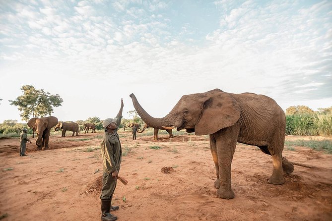 Moments with Elephants - A note about booking and payment
