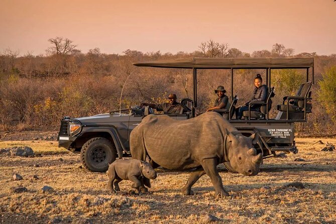 Morning or Afternoon Game Drive In Victoria Falls - Key points before you book