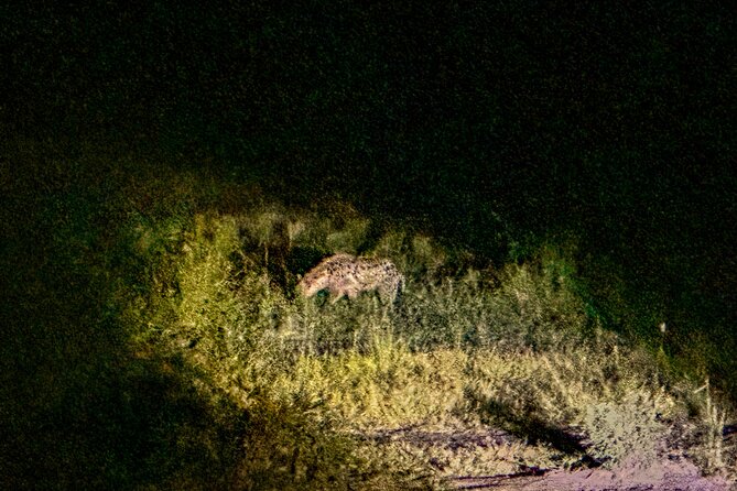 Night Game Drive in Zambezi National Park and Victoria Falls - Booking timing and cancellation flexibility