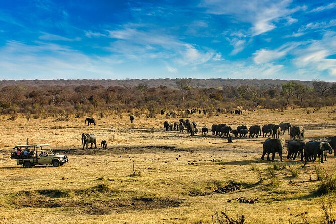 Safari Game Drive in the Savannah with Hotel pickup 3 times daily - Hotel pickup and the start of the morning