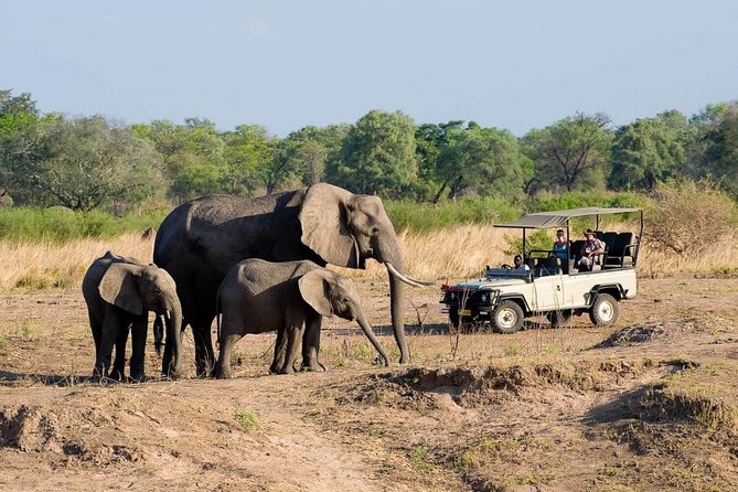 Safari Game Drive in Zambezi National Park with Hotel Pickup - Hotel pickup keeps the logistics easy