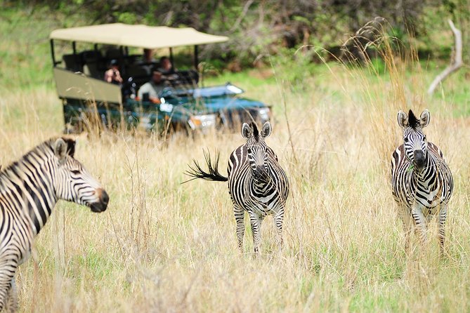 Safari Game Drive in Zambezi National Park with Hotel Pickup - Entering Zambezi National Park