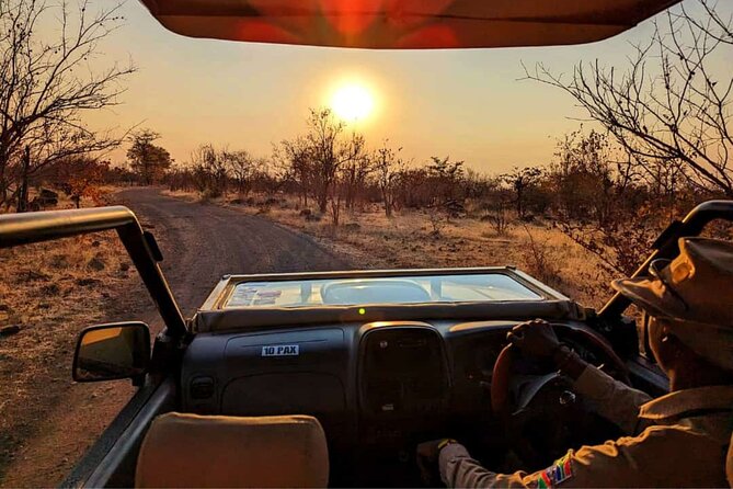 Safari in Victoria Falls and Zambezi National Park - The animals you may find