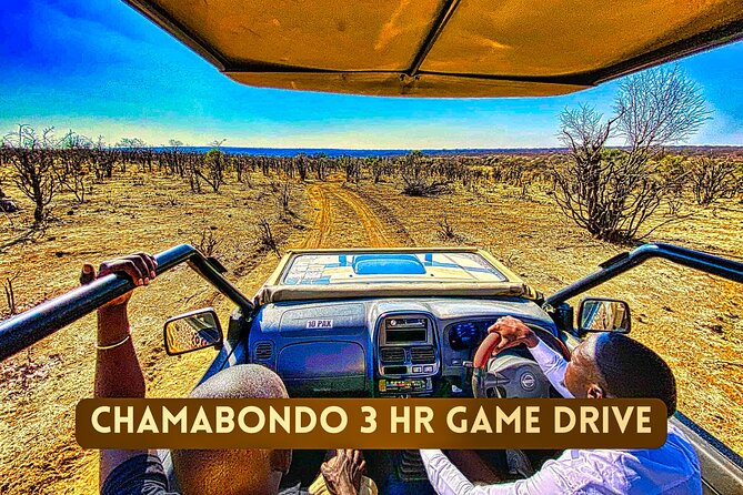 Safari in Victoria Falls and Zambezi National Park - A quiet refreshment stop