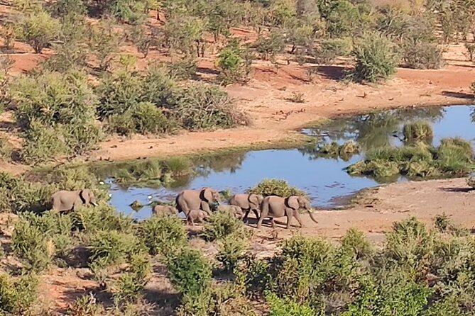 Safari in Victoria Falls and Zambezi National Park - The guide’s role in finding meaning