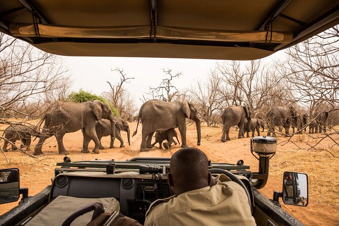 Small Group: Zambezi National Park Guided Game Drive - From Victoria Falls to the Zambezi bush in five minutes