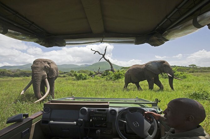 Small Group: Zambezi National Park Guided Game Drive - Wildlife you may find in Zambezi National Park