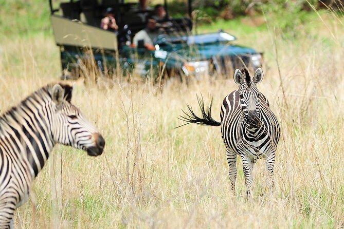 Small Group: Zambezi National Park Guided Game Drive - Is $120 a fair price?