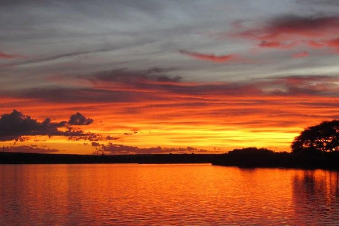 Standard Sunset Cruise - Watching wildlife along the river