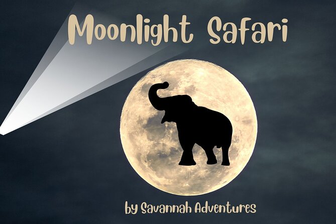 Stargazing and Moonlight Experience - A different way to spend an evening in Victoria Falls