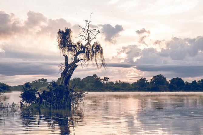 Sunrise Cruise on the Zambezi River - Searching for hippos, crocodiles, elephants, and kudus