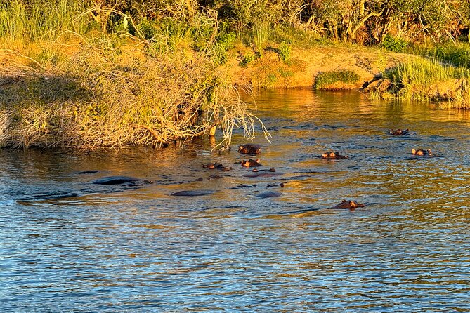 Sunset Cruises on the Zambezi River from Victoria Falls - Boarding the boat and finding the best seat