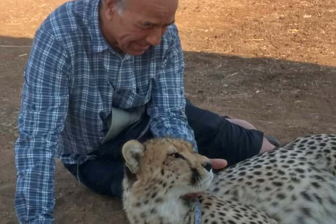 The Cheetah Experience - Key points to know before booking