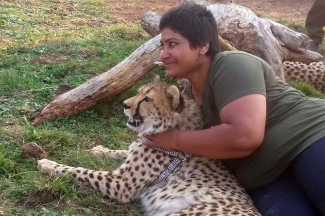 The Cheetah Experience - The first meeting with the cheetahs