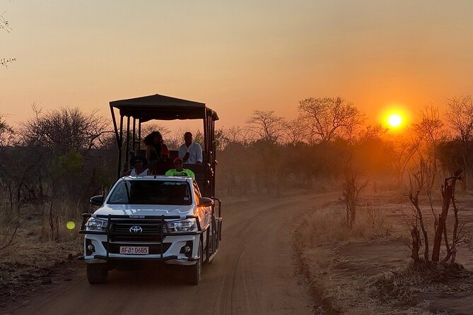 Unique Safari Game Drives in Zambezi National Park, 4 Options - Is $125 good value?