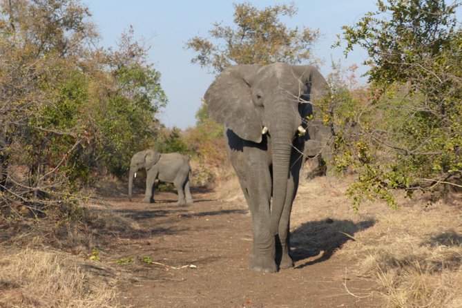Upper Zambezi Canoeing - Returning to Victoria Falls by about 2 p.m.