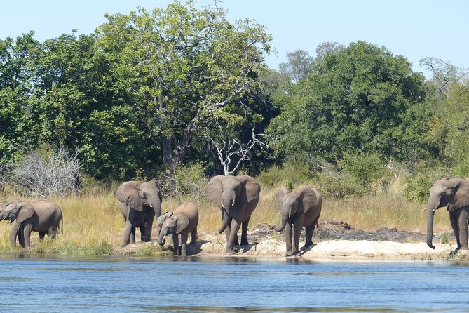 Upper Zambezi Canoeing - Breakfast at the launch site