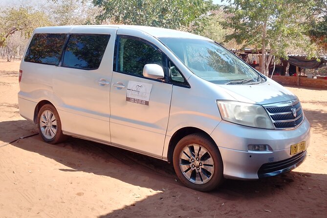 VFA Victoria Falls Airport One Way Transfers - Immigration Delays and Delayed Bags