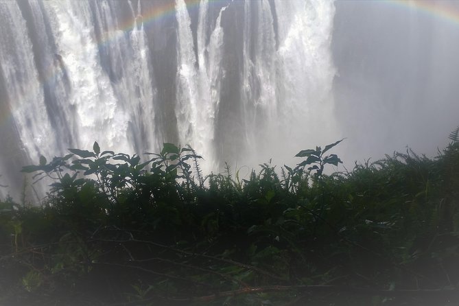 Victoria Falls And Chobe - Day 1: A calm boat start on the Zambezi