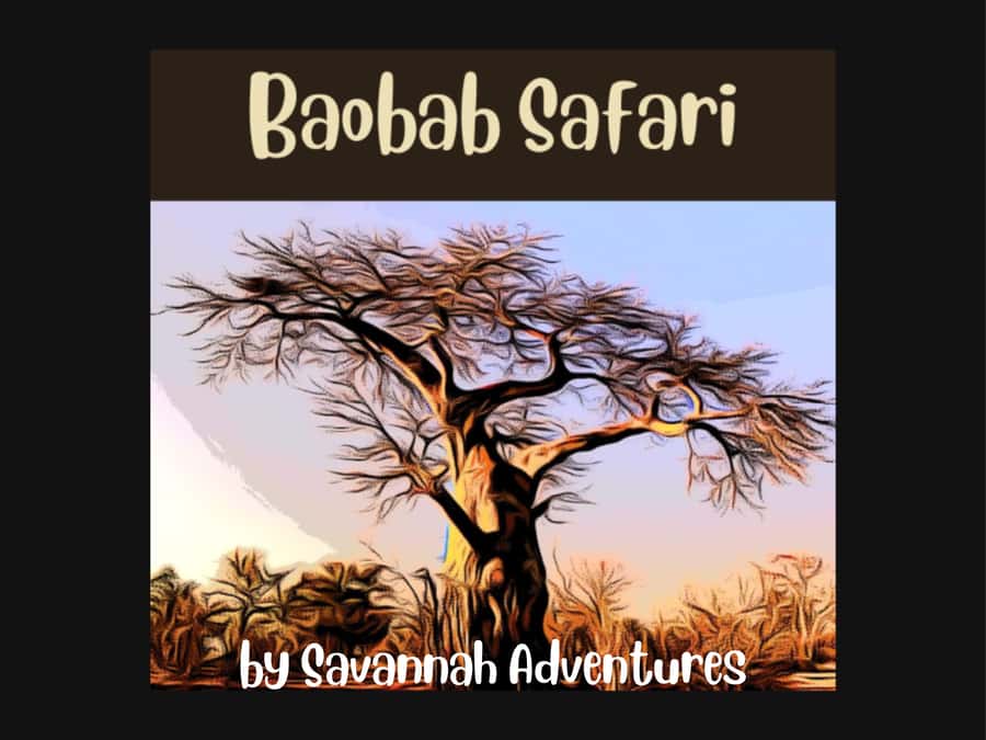 Victoria Falls: Baobab Safari - Sunrise and Mid Morning - A two-hour introduction to Victoria Falls by safari jeep