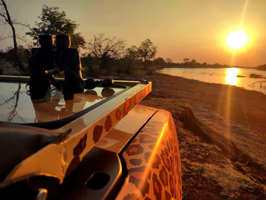 Victoria Falls: Baobab Safari - Sunrise and Mid Morning - Bush tracks, plants, and the sound of the Zambezi area