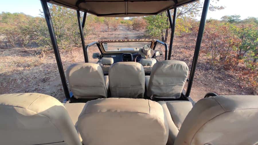 Victoria Falls: Baobab Safari - Sunrise and Mid Morning - The gorge viewpoint and the mighty Zambezi below