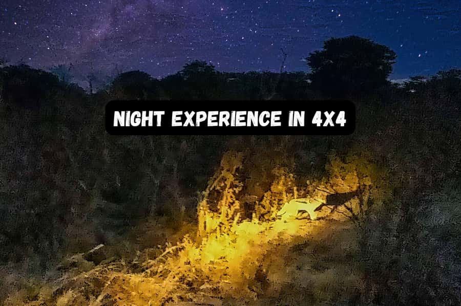 Victoria Falls: Bush Experience and Stargazing D-F-ES-GB - Leaving Victoria Falls for Victoria Falls National Park